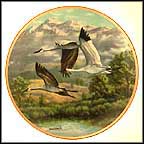 Sandhill And Whooping Crane Collector Plate by James Faulkner MAIN