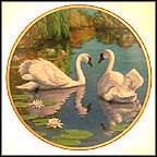 The Swan Collector Plate by James Faulkner MAIN