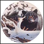 Eyes In The Pines  Collector Plate by Daniel Renn Pierce MAIN