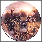 Eyes Of Wonder Collector Plate by Daniel Renn Pierce MAIN