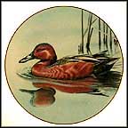 Cinnamon Teal Collector Plate MAIN