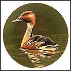 Fulvous Whistling Duck Collector Plate by Burton Moore, Jr. MAIN