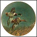 Mallards Collector Plate by Richard Plasschaert MAIN