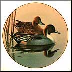 Pintails Collector Plate MAIN