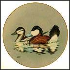 The Ruddy Ducks Collector Plate by John S. Wilson MAIN