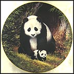 First Steps Collector Plate by Will Nelson MAIN