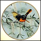Cedar Waxwing And Winter Berries Collector Plate by Russell Cobane MAIN