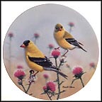 Goldfinches In A Field Of Thistle Collector Plate by Russell Cobane MAIN