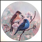 Indigo Buntings And Spring Blossoms Collector Plate by Russell Cobane MAIN