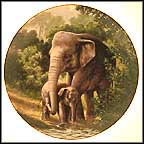 The Asian Elephant Collector Plate by Will Nelson MAIN