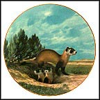 Black-Footed Ferret Collector Plate by Will Nelson MAIN