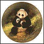 The Panda Collector Plate by Will Nelson MAIN