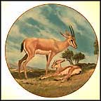 The Slender-Horned Gazelle Collector Plate by Will Nelson MAIN