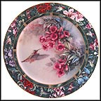 The Allen's Hummingbird Collector Plate by Lena Liu MAIN
