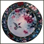 The Anna's Hummingbird Collector Plate by Lena Liu MAIN