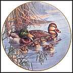 Family Outing Collector Plate by Bruce Langton MAIN
