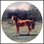 Classic Beauty: Thoroughbred Collector Plate by Pamela Wildermuth MAIN