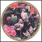 Spring Rain Collector Plate by Alan Sakhavarz MAIN