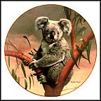 The Koala Collector Plate by Charles Fracé MAIN