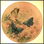 Eastern Tailed Blues Collector Plate by Lena Liu MAIN