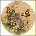 Western Tiger Swallowtails Collector Plate by Lena Liu MAIN