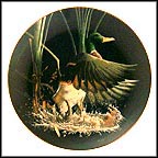 Rising Mallard Collector Plate by Tommy Humphrey MAIN
