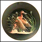 Wondrous Motion Collector Plate by Tommy Humphrey MAIN
