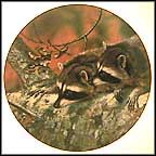 Fascination: Raccoons Collector Plate by Carl Brenders MAIN