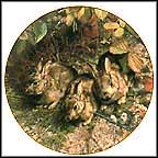 Shy Explorers: Rabbits Collector Plate by Carl Brenders MAIN