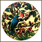 Beautiful Bluebird Collector Plate by Carl Brenders MAIN