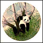 A Lazy Afternoon Collector Plate by Joyce Bridgett MAIN