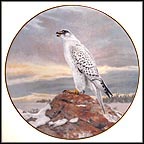 The Gyrfalcon Collector Plate by Charles Fracé MAIN