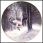 The Northern Goshawk Collector Plate by Charles Fracé MAIN