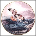 The Red-Tailed Hawk Collector Plate by Charles Fracé MAIN