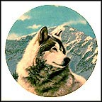 Solitary Watch Collector Plate by Thomas Hirata MAIN