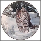 The Quest Collector Plate by Charles Fracé MAIN
