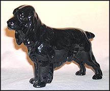Cocker Spaniel Ch. 'Lucky Star of Ware' MAIN