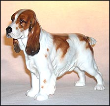 Cocker Spaniel, medium MAIN