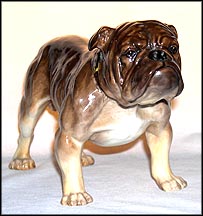 Bulldog, standing MAIN