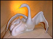 Nestling Down Swans MAIN
