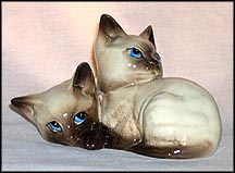 Siamese Kittens MAIN