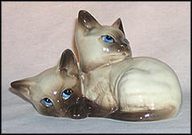 Siamese Kittens MAIN