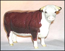 Hereford Cow MAIN