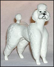 Poodle MAIN