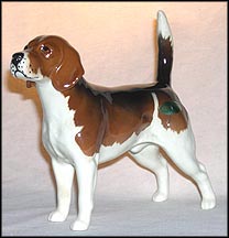 Beagle "Wendover Billy" MAIN