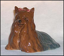 Yorkshire Terrier MAIN