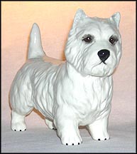 West Highland Terrier MAIN