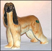 Afghan Hound "Hajubah of Davien" MAIN