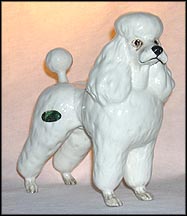 Poodle MAIN