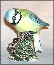 Blue Tit MAIN